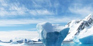 Jakie są rodzaje czapek z daszkiem?