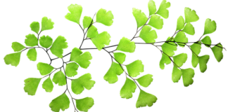 O czym pamiętać na Panieńskim?