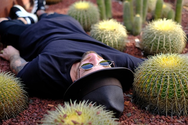 Co to znaczy chino? Co to znaczy chino?