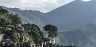 Ile kosztuje kompozycja na stół na wesele?