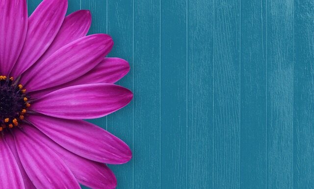 Jakie cukierki dla gości? Jakie cukierki dla gości?