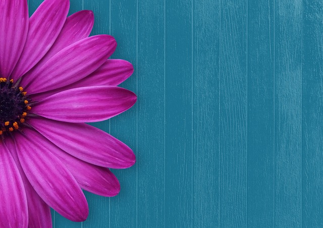 Jakie cukierki dla gości? Jakie cukierki dla gości?