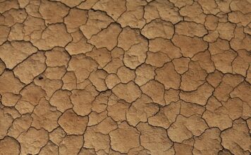 Czy beżowy kolor pogrubia?