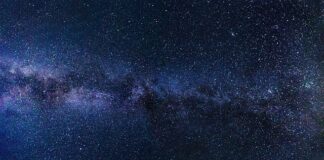 Gdzie można kupić fajne dresy?