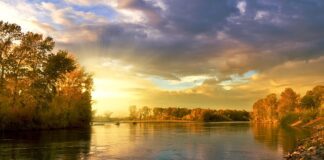 Co oznaczają kolory bandany?