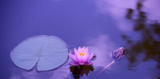 Czy dres może być elegancki?